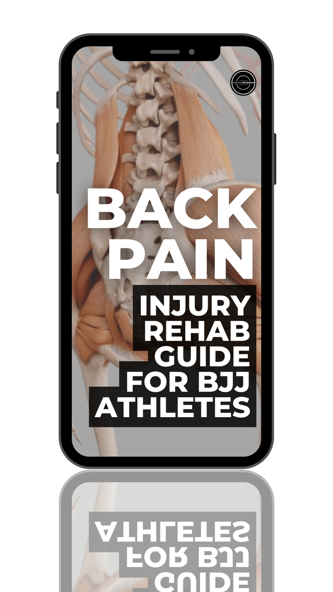 back-pain-rehab-guide-grapplers-performance